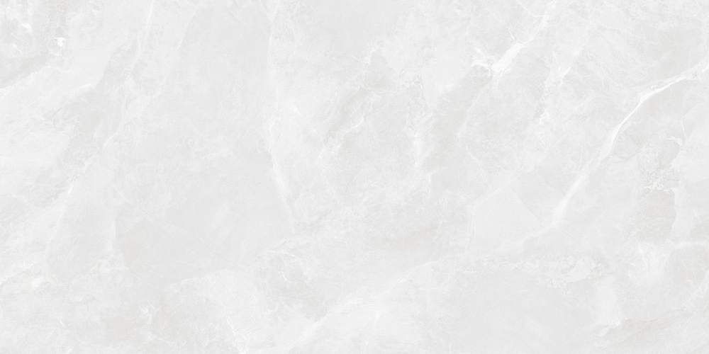 Regnum Bianco Светло-серый CR6012G0401R Матовый Керамогранит 59,5x119,1