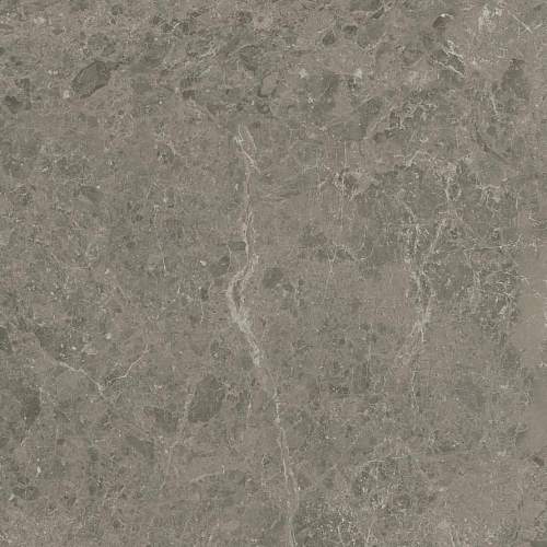 Marvel Meraviglia Grigio Elegante AJJD Керамогранит 60x60