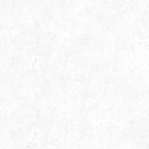 Evan White GP40PLY00L Лаппатированный Керамогранит 60x60