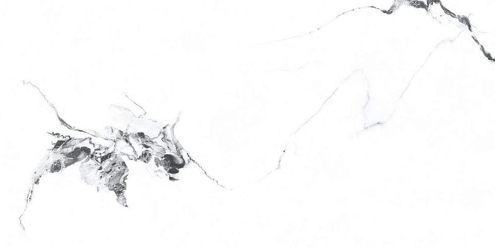 Videl Bianco Polished Керамогранит 60x120