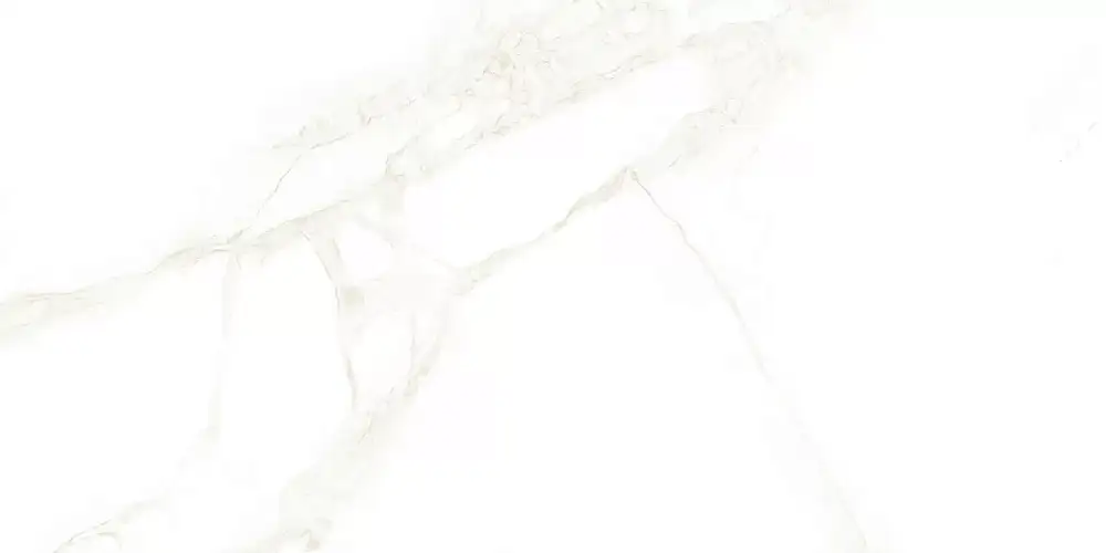 Artdeco White WT9ARE00 Глянцевая 25x50