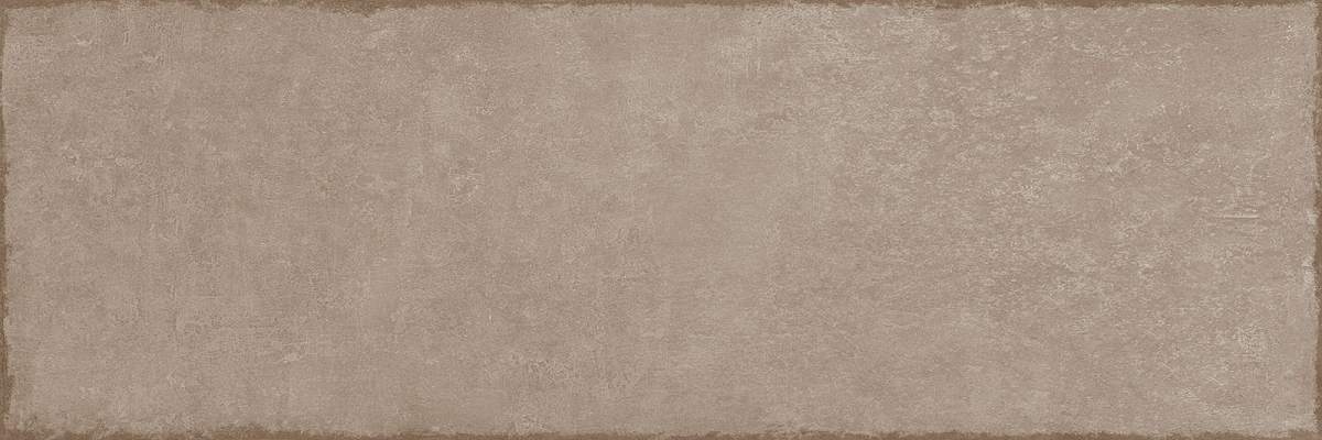 Costa Rica Коричневый TWA11COR004 Матовая 20x60