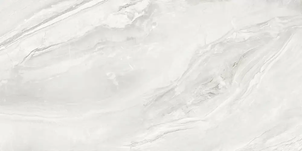 Argentina Gray 60120ARI15P Полированный Керамогранит 60x120