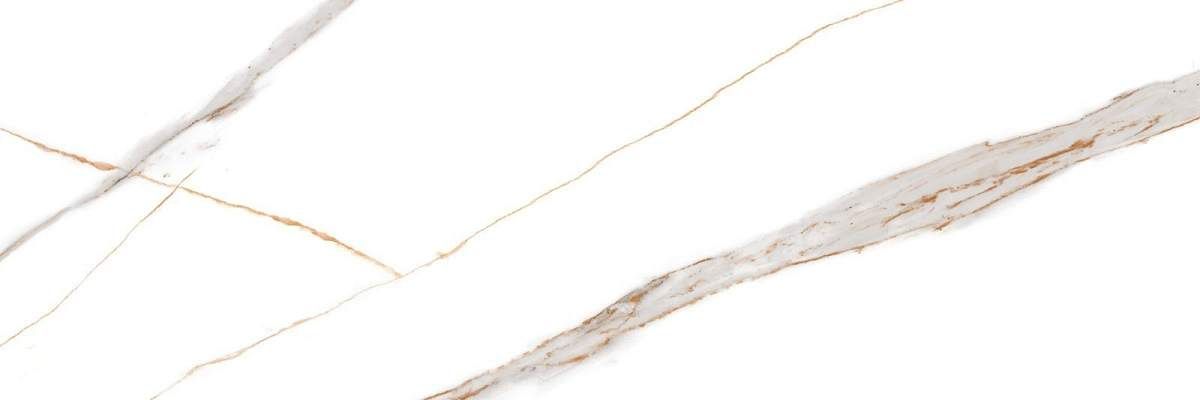 Signorina Gold A