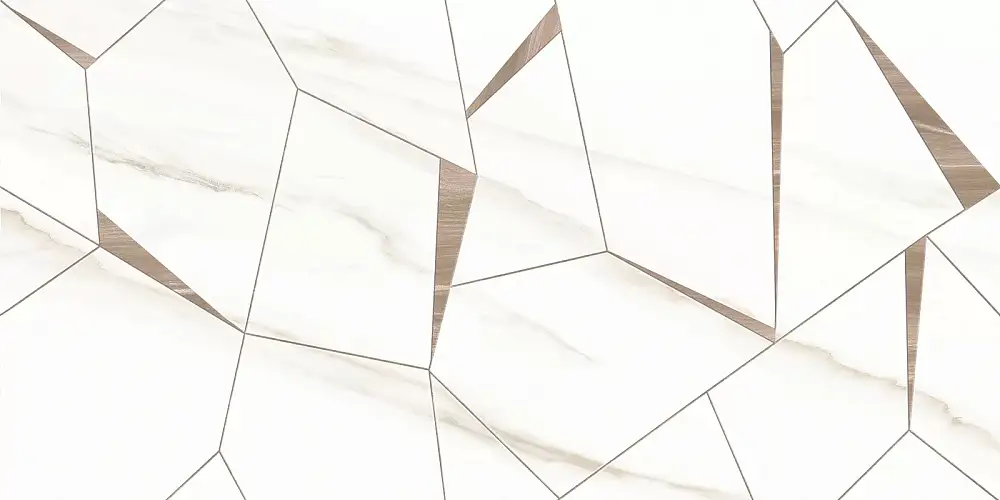 Esprit Wall WT9ESR01 Глянцевая 25x50