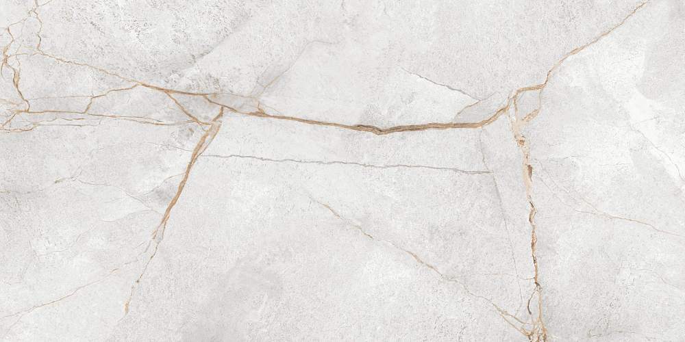 Special Marmo Gray 60120PEC15P Полированный Керамогранит 60x120