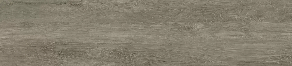 Milton Серый GFA2090MLT40R Матовый Керамогранит 20x90