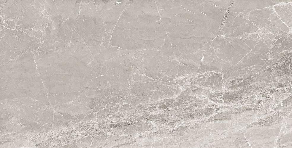 Nostalgic Silver Керамогранит 60х120