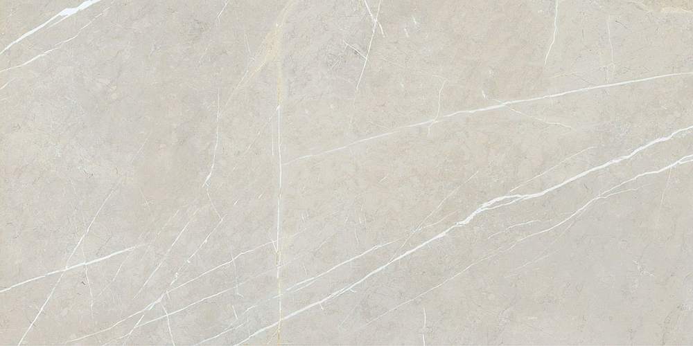 Bright And Shiny BB612NTT9101P Керамогранит 60x120