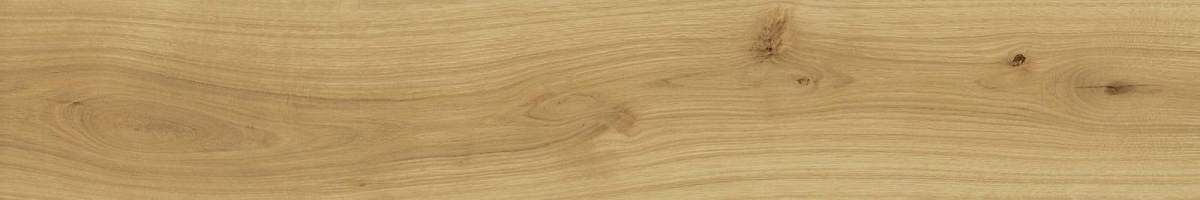 Exence Almond AO48 Керамогранит 20x120