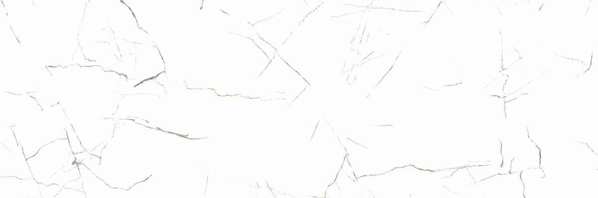 Frost White WT15FRR00R Глянцевая 24,6x74