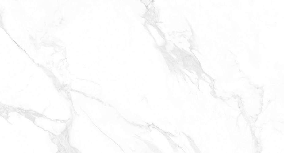 Carrara Anita Glossy M4402P Полированный Керамогранит 60x120