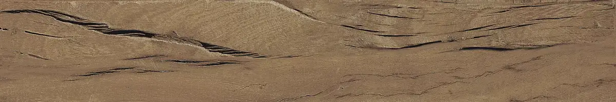 FS Forest Plank Natural 39699 Матовая 7,3x45