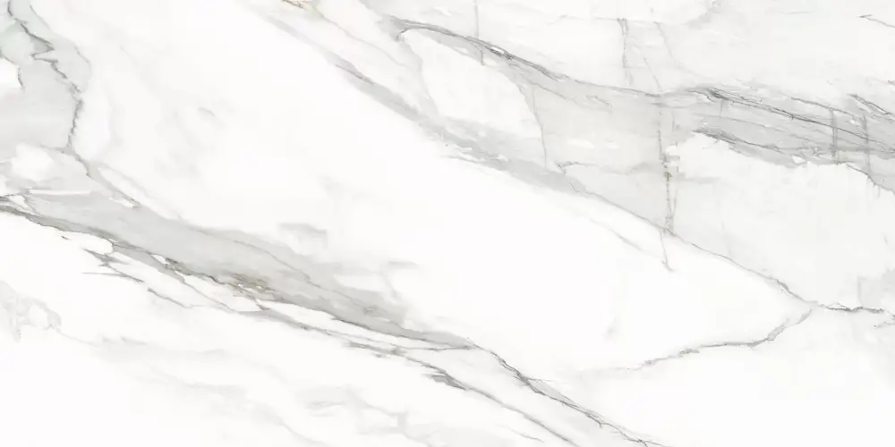 Omega Silver D12053M Матовый Керамогранит 60x120