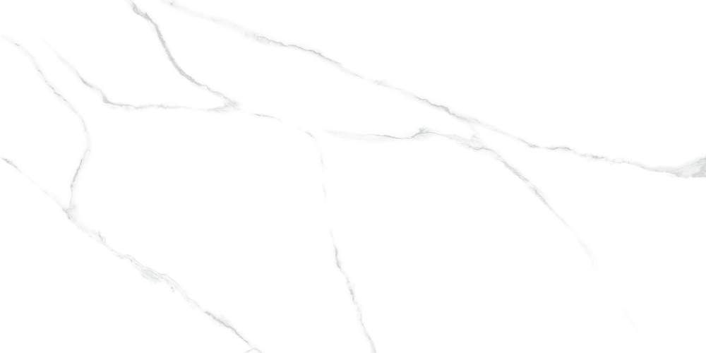 Atlantic Marble 60120AMR00P Глянцевый Керамогранит 60x120