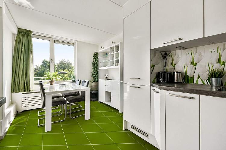 Элара Верде 20,1x40,5