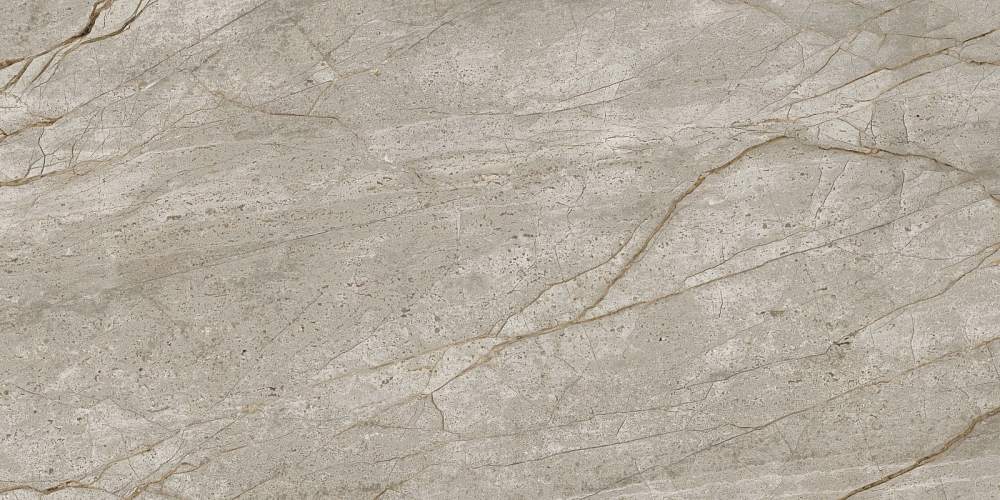 Empire Silver Root Rett Lapp 610015000618 Керамогранит 60x120