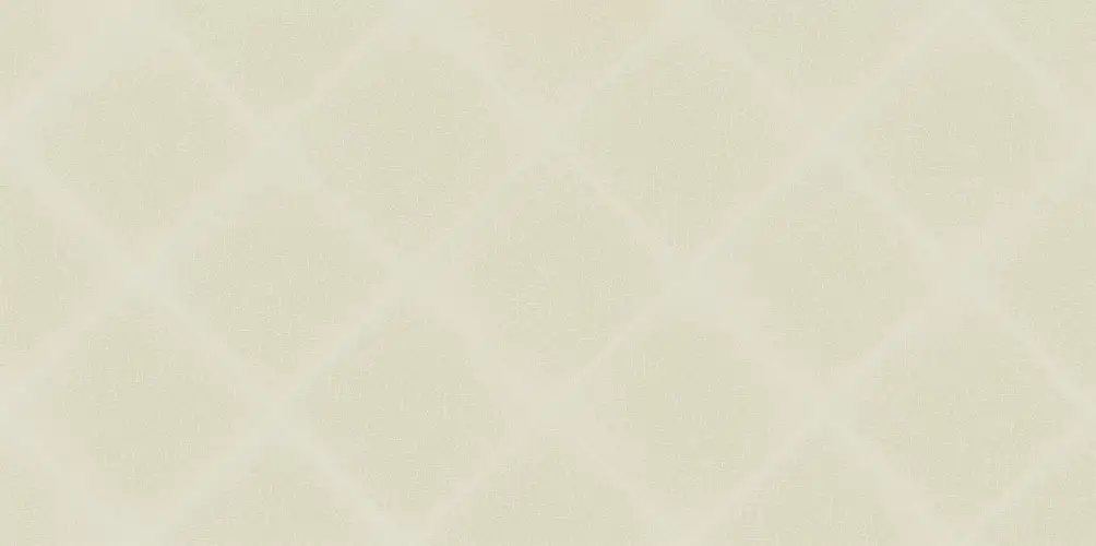 Adele Latte WT9ADE11 Глянцевая Рельефная 24,9x50