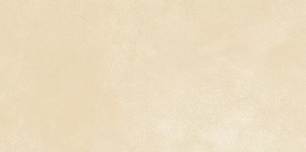 Petra Beige WT9PET11 Матовая 24,9x50