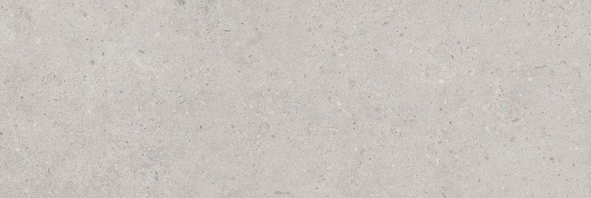 Риккарди Серый Светлый Матовый Обрезной 14053R 40x120