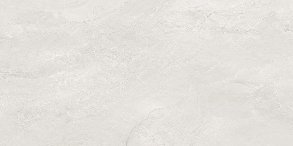 Argenta Gray 60120RGE15M Матовый Керамогранит 60x120