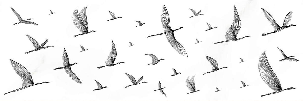 Декор Elegance Птицы Белый EG2U051DT 25x75