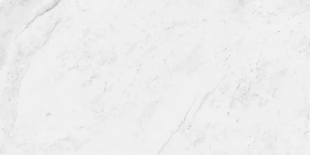 Carrara Antique Polished N12033 Керамогранит 60x120
