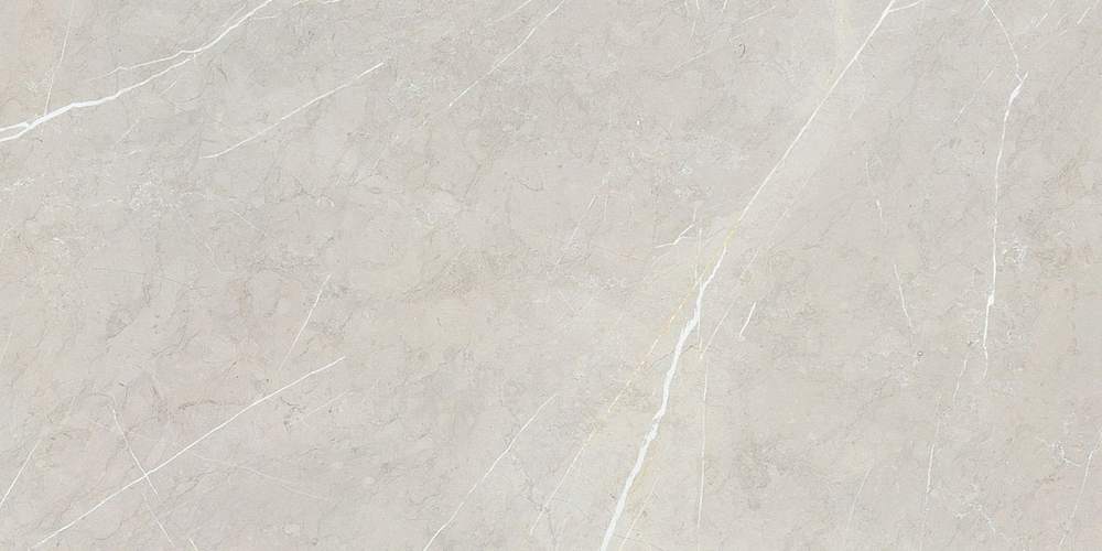 Bright And Shiny BB612NTT9101P Керамогранит 60x120