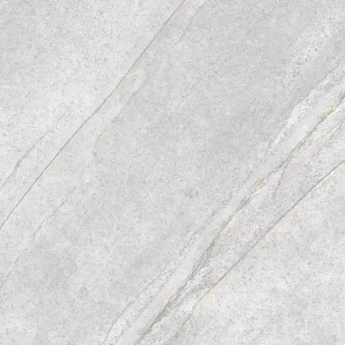 Donna Серый GT606015501SPR Керамогранит 60x60