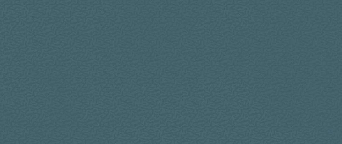 Boost Color Navy Frog AKN8 50x120