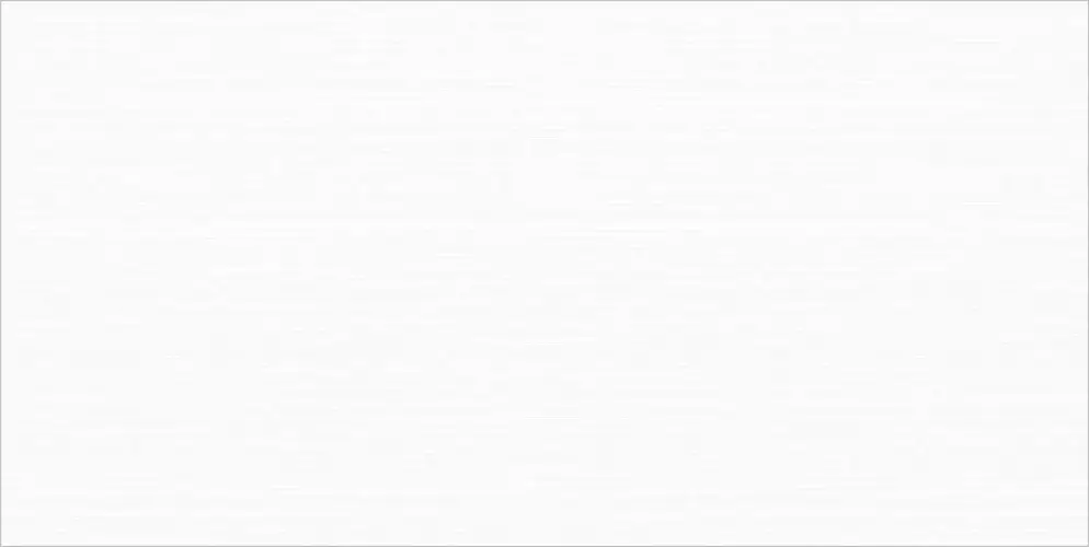 Manhattan White WT9MAN00 Глянцевая 24,9x50