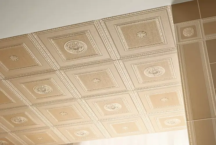 Lirica Visone B1705A 10x30