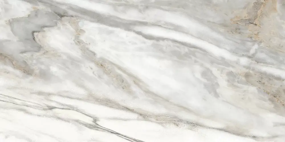 Euphoria Серый TWU2550EPH74 Матовая 24,9x50