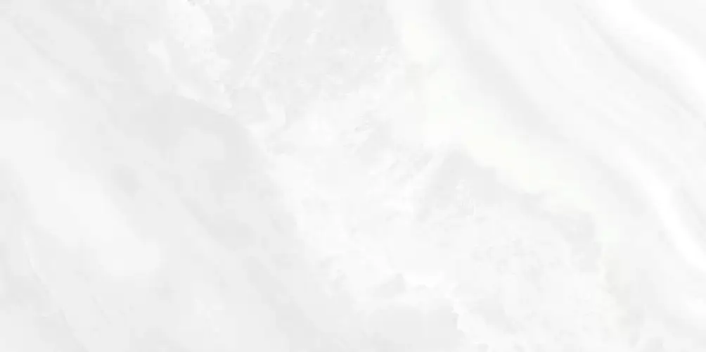 Palmira Light WT9PAL00 Глянцевая 24,9x50