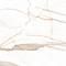 Calacatta Goddes Gold Белый Полированный Керамогранит 60x60