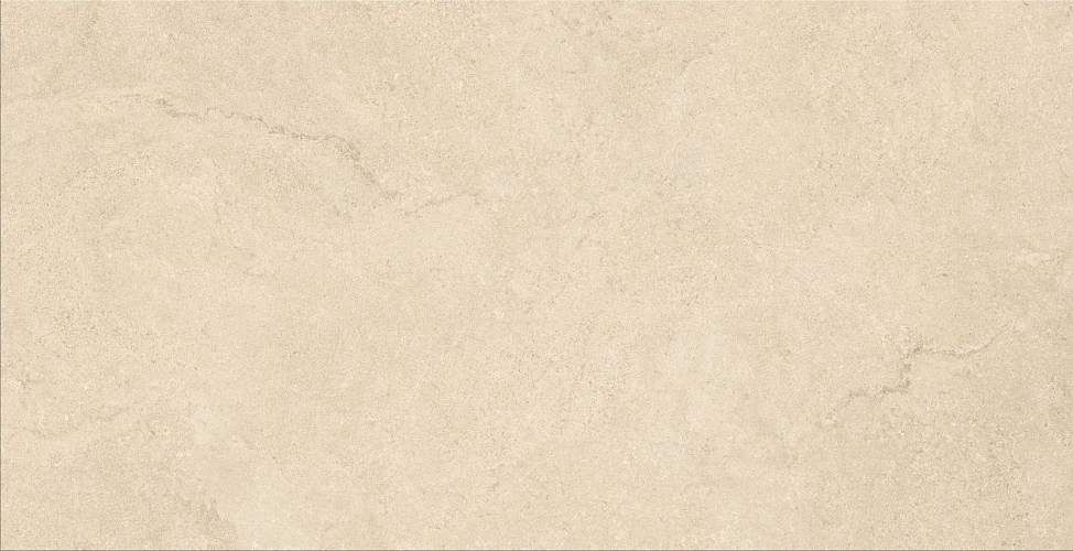 Tokyo Beige Токио Беж RFN126H533A Матовый Керамогранит 60x120