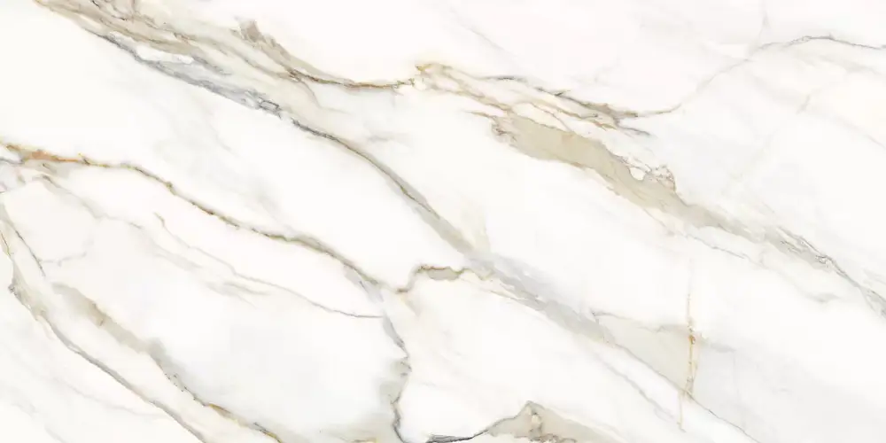 Omega Gold D12054M Матовый Керамогранит 60x120