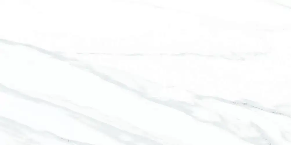 Julia Light WT9JUL00 Глянцевая 24,9x50