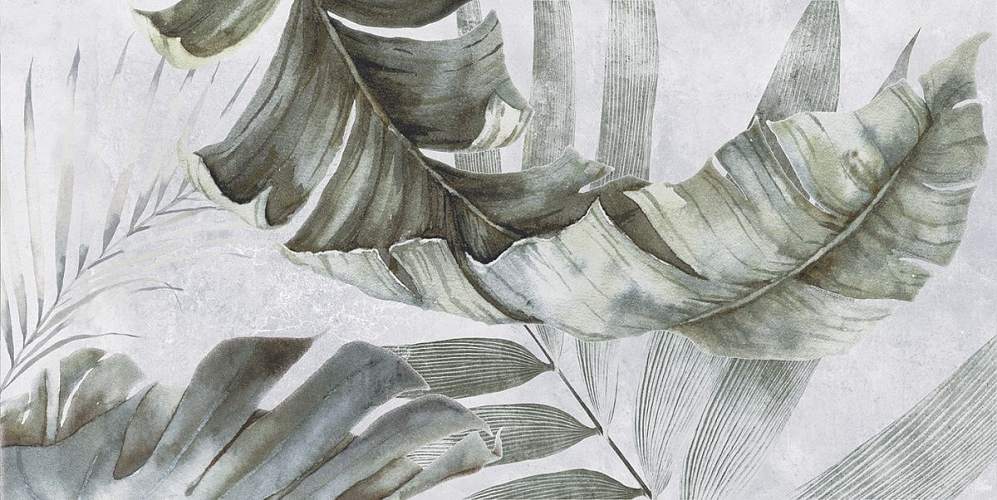 Etnis Светло-Серая Ботаника 18-00-06-3662 30х60