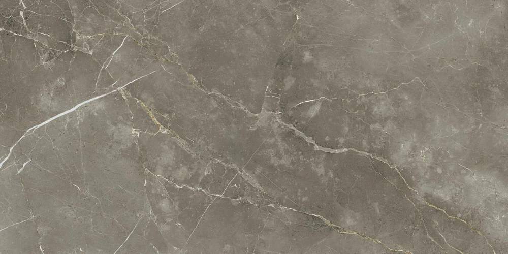 Stellaris Tuscania Grey Lap 610015000681 Керамогранит 60x120