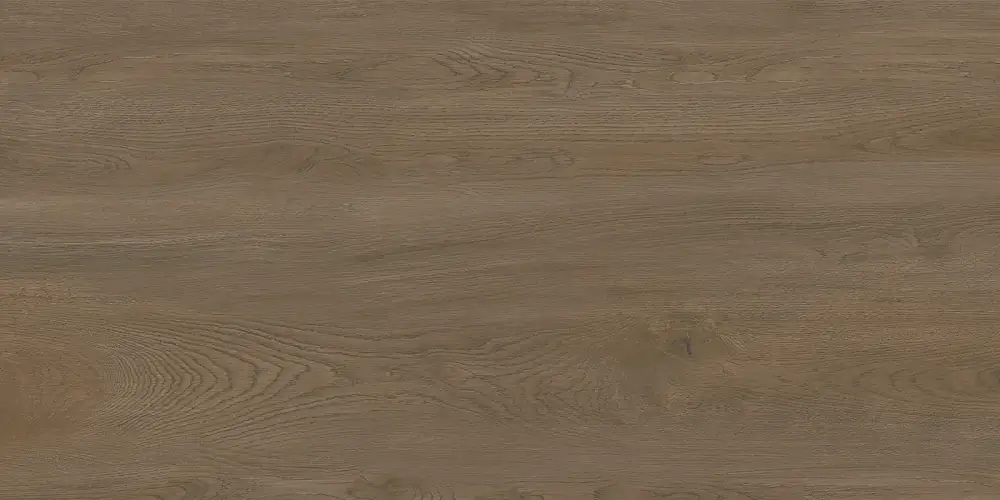 Walnut Dark D120248M Матовый Керамогранит 60x120