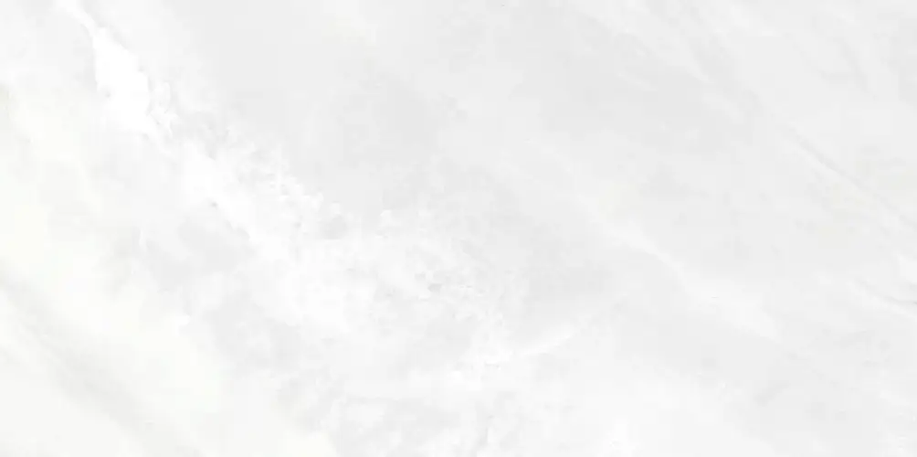 Palmira Light WT9PAL00 Глянцевая 24,9x50