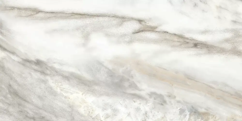 Euphoria Серый TWU2550EPH74 Матовая 24,9x50