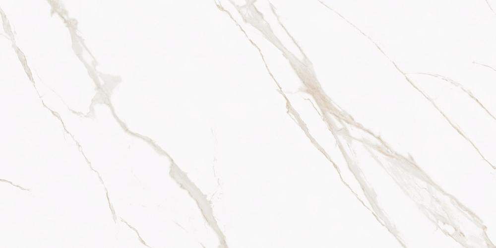 Butik  K-2021/LR/600x1200x10 Керамогранит 60x120