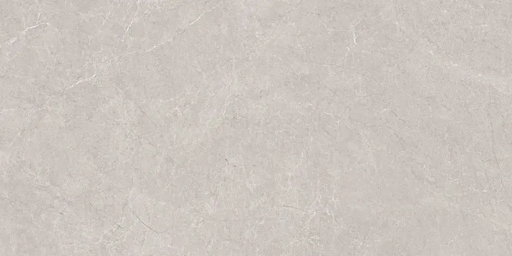 Aristo Grey Tm N20555 Керамогранит 60x120