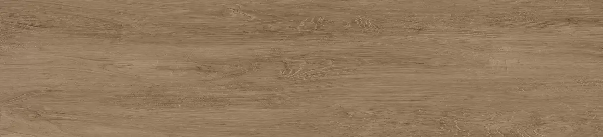 Milton Коричневый GFA2090MLT48R Матовый Керамогранит 20x90