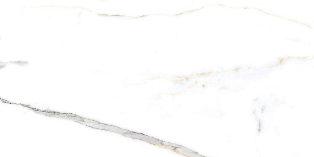 Marmo Miami Natural NTT99500P Керамогранит 60x120