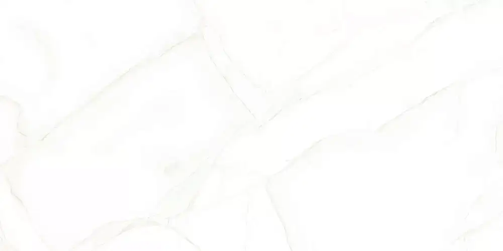 Artdeco White WT9ARE00 Глянцевая 25x50