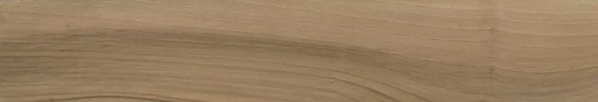 Milton Noce Керамогранит 10x60