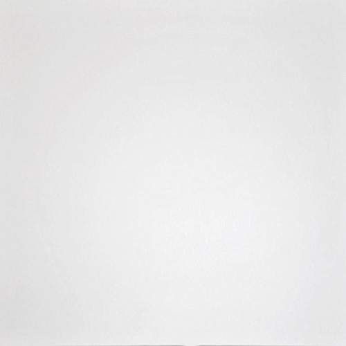 Domino Белый G-100/LR Лаппатированный Керамогранит 60x60